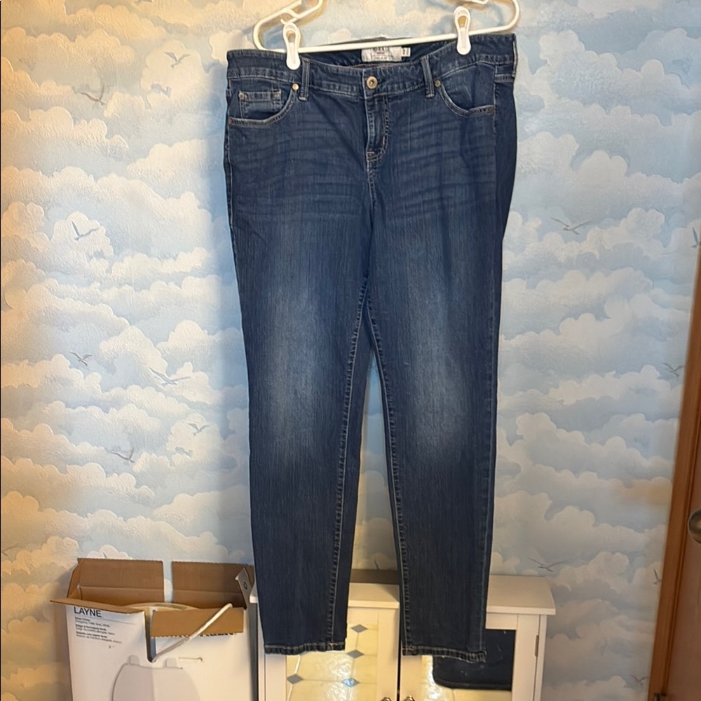 Torrid Blue Skinny Jeans with Modern Gradient